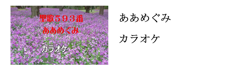 ̂߂