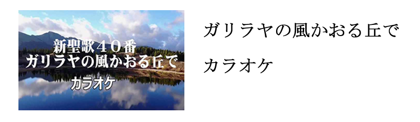 ̃K̕u